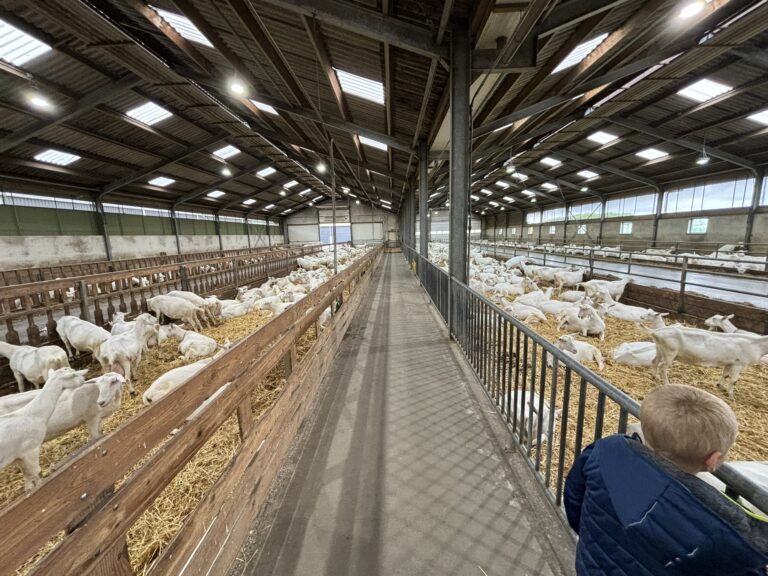 Ziegenfarm De Mèkkerstee
