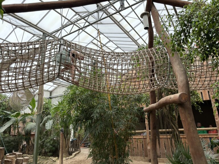 Berkenhof Tropical Zoo