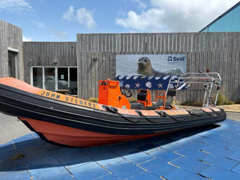 Seehundstation A Seal